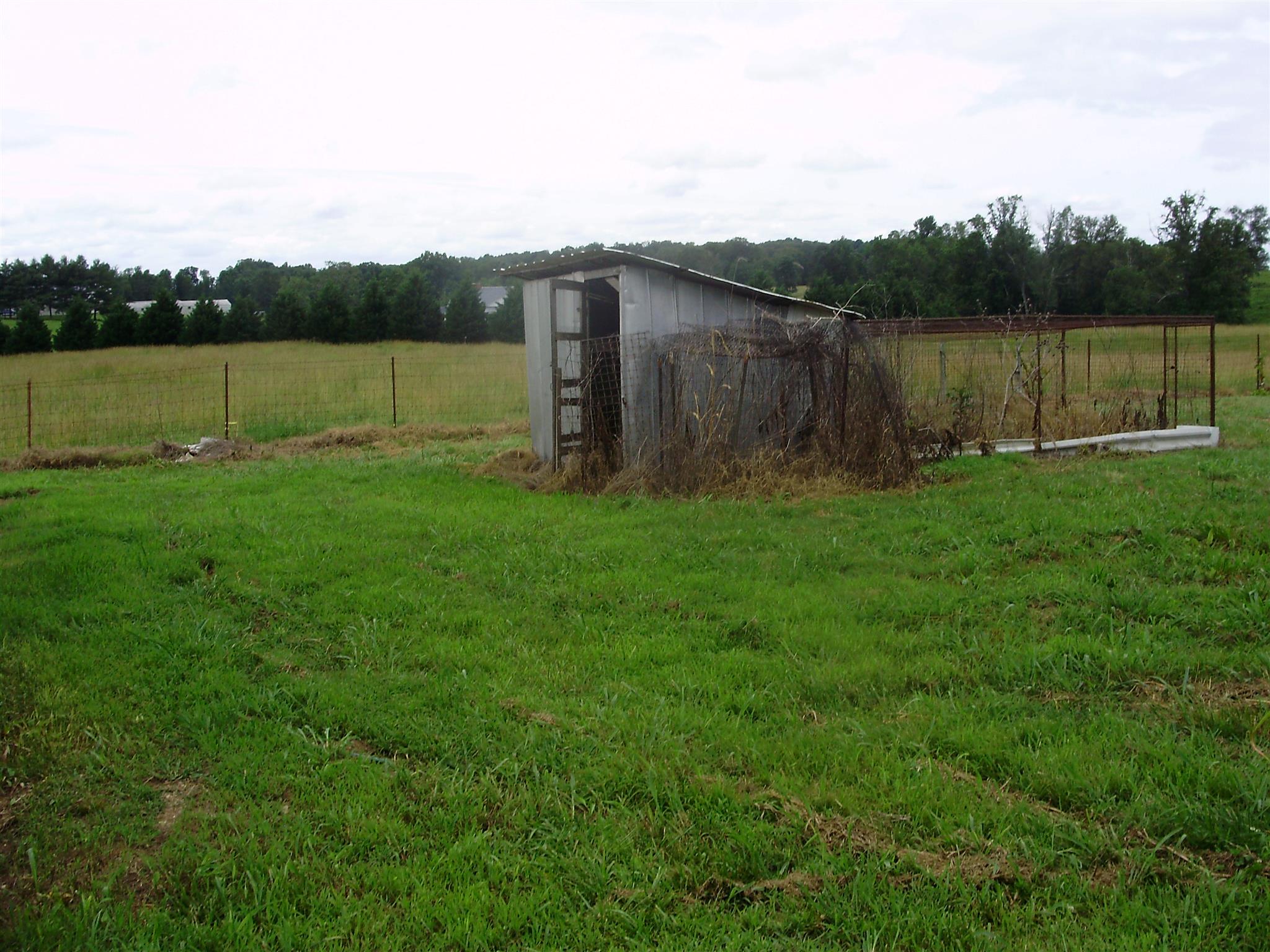 51 Ramah Road Leoma, TN 38468 - Photo 7 of 30 a view of a back yard