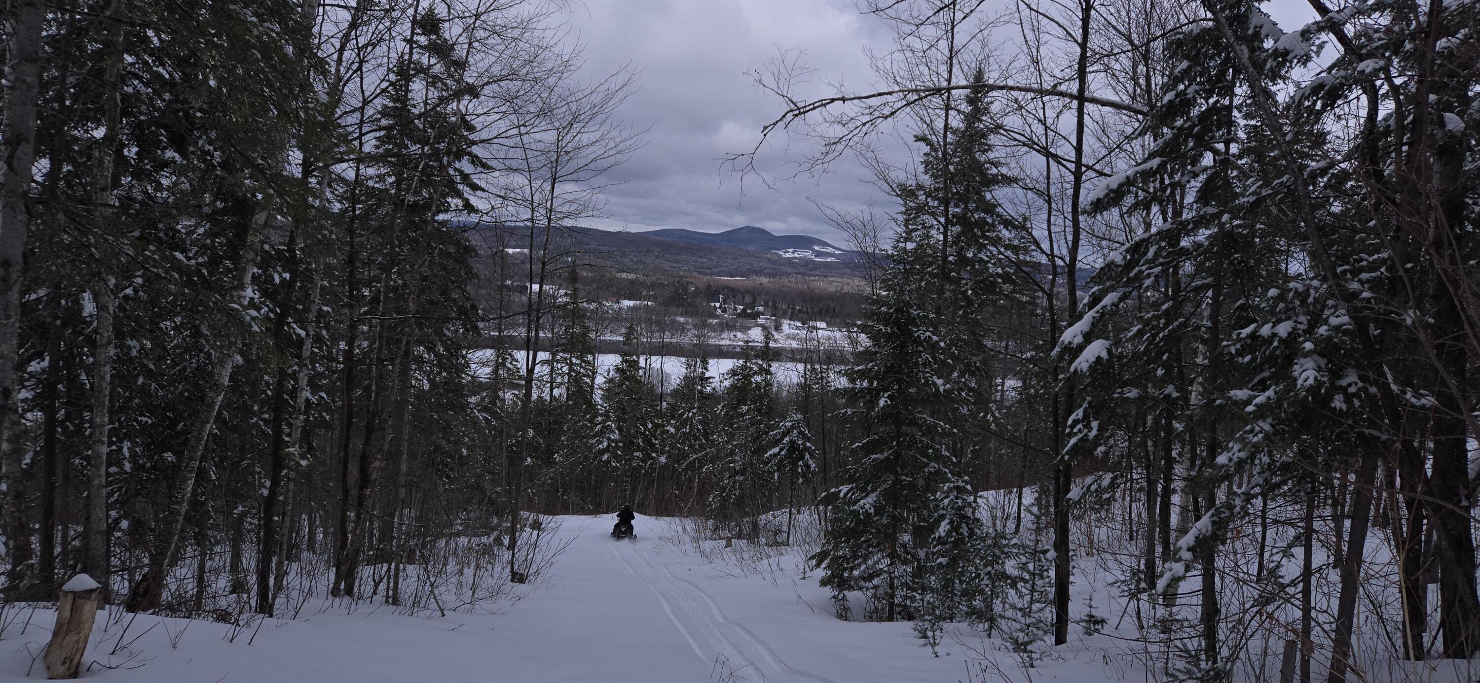 Map31 Map31 Lot12 St. David, ME 04773 - Photo 11 of 35 20260404_142405
