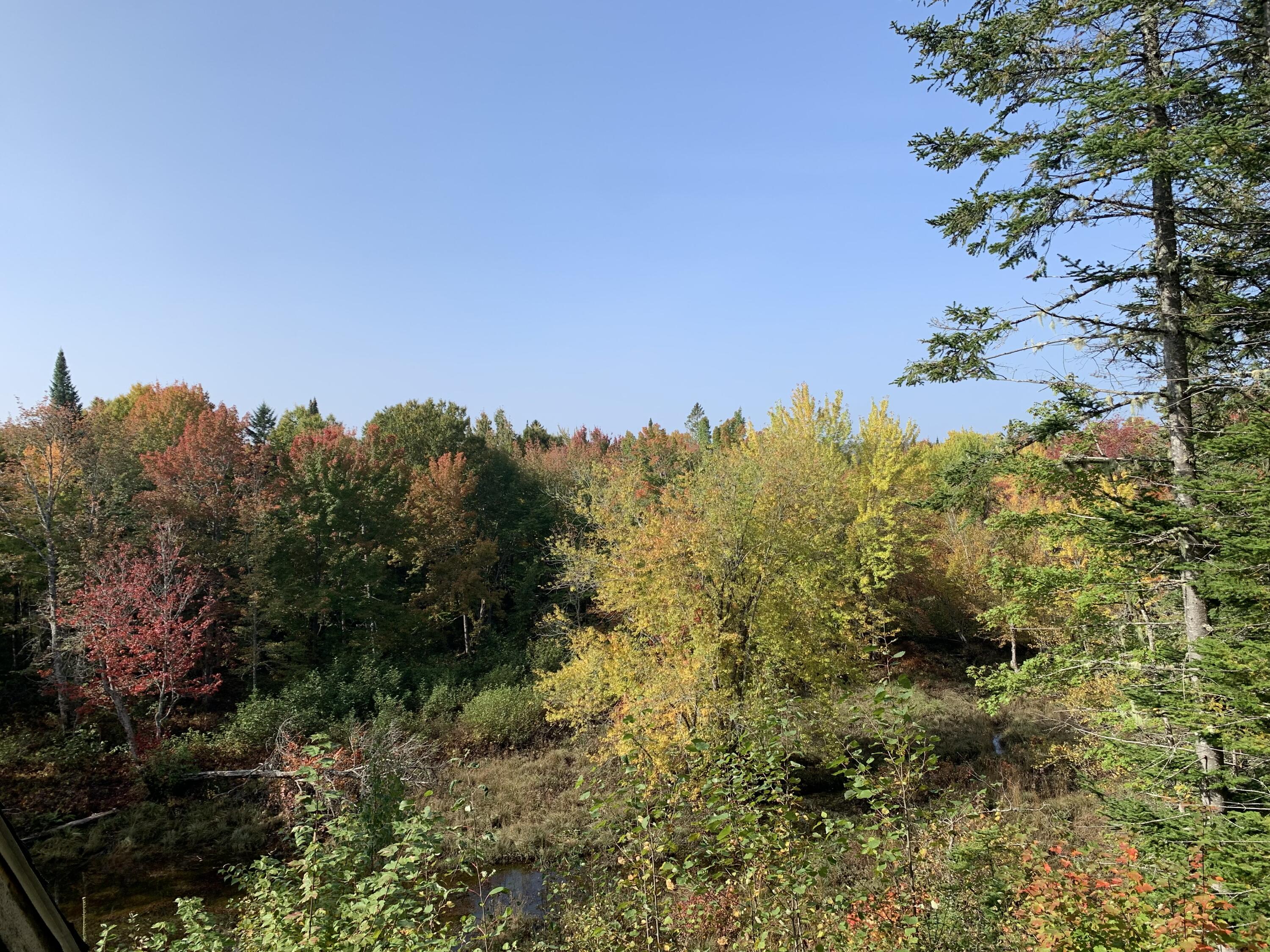 3 Map Road Kingman, ME 04451 - Photo 15 of 16 IMG_9607