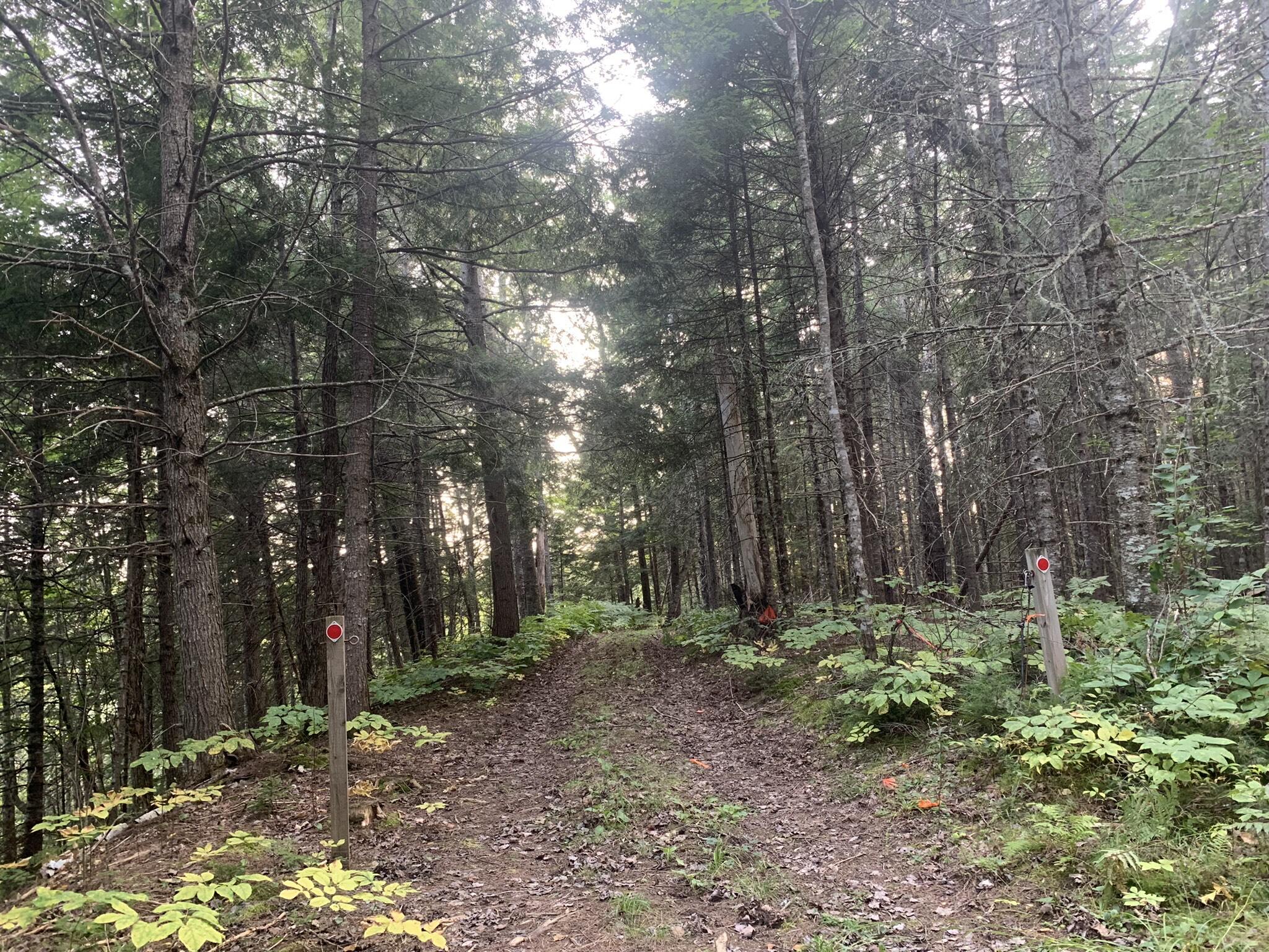 3 Map Road Kingman, ME 04451 - Photo 5 of 16 IMG_8484