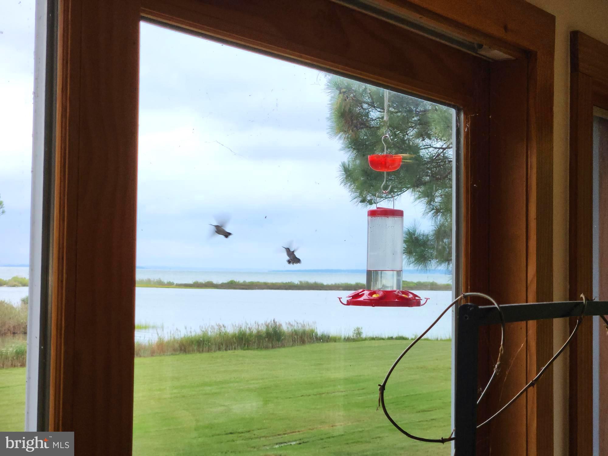 3310 Belfiore Road Church Creek, MD 21622 - Photo 52 of 55 a picture of floor plan