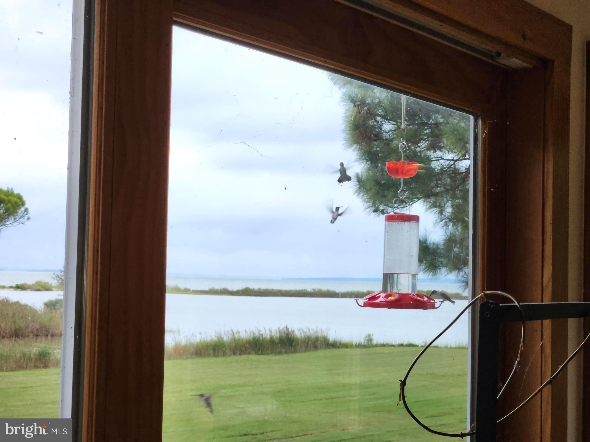 3310 Belfiore Road Church Creek, MD 21622 - Photo 53 of 55 a room with a door and a table