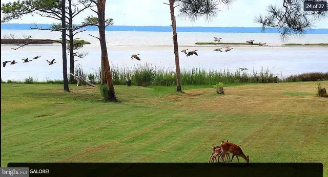 a view of a lake view