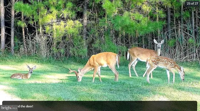a backyard of a house with a yard and outdoor seating