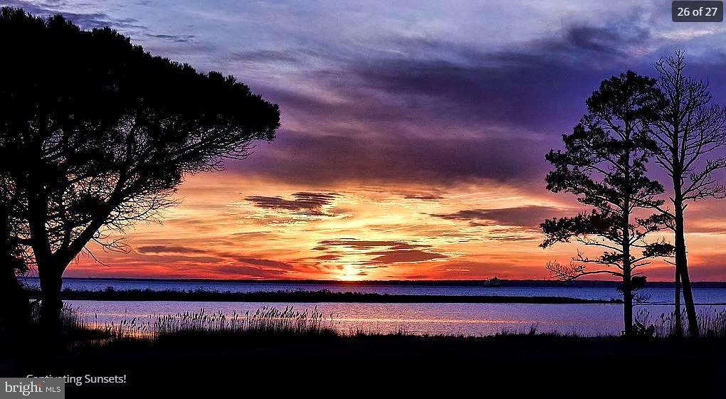 3310 Belfiore Road Church Creek, MD 21622 - Photo 8 of 55