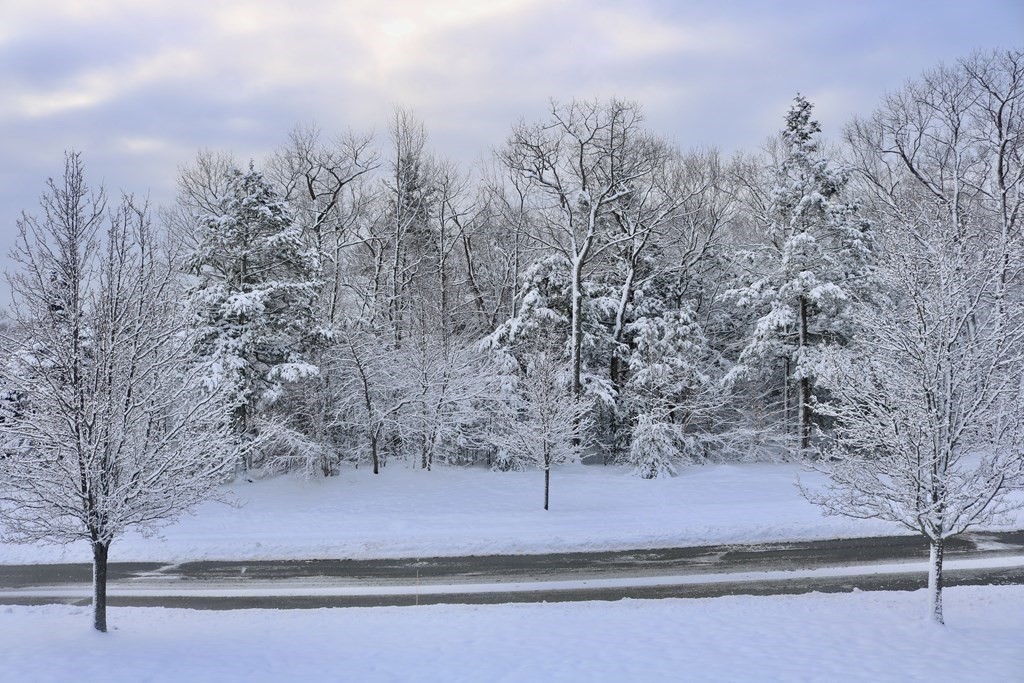 25 Parsons Hill Road Wenham, MA 01984 - Photo 36 of 42 Gallery Image 36