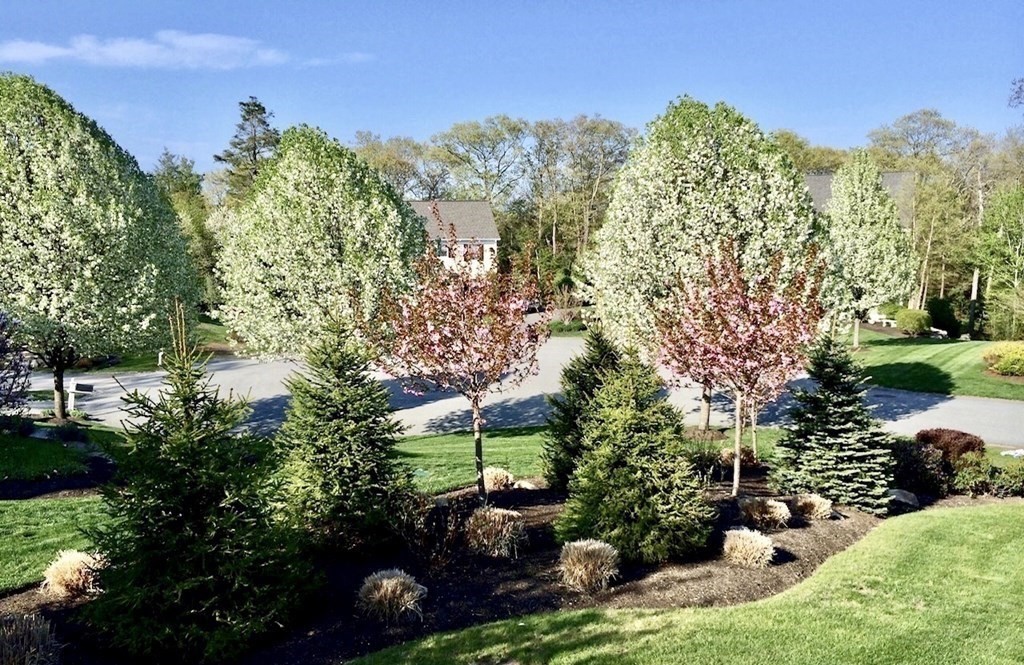 25 Parsons Hill Road Wenham, MA 01984 - Photo 42 of 42 Gallery Image 42