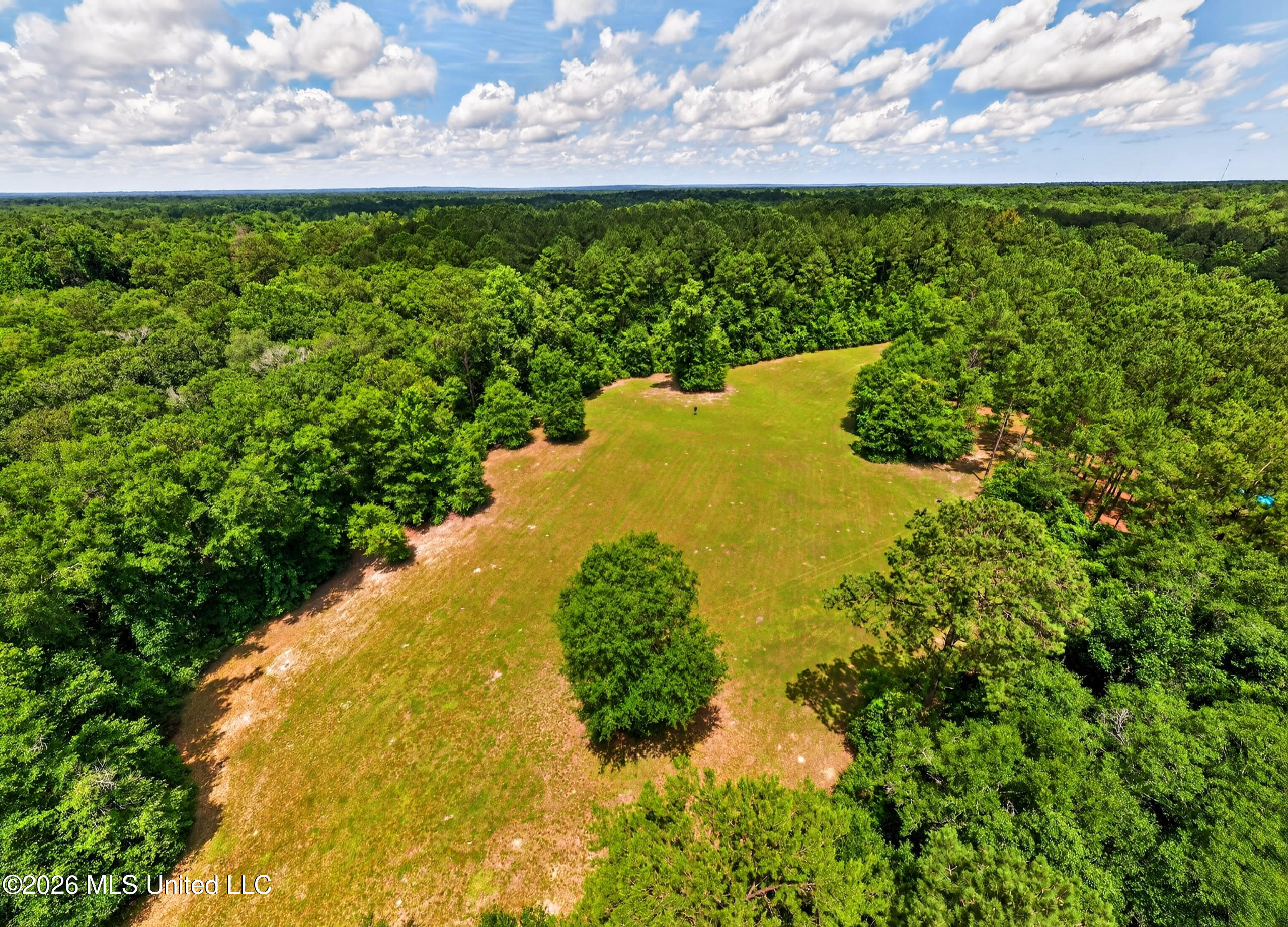 78 Game Reserve Road Columbia, MS 39429 - Photo 63 of 83 78GamerReserveRd.-62
