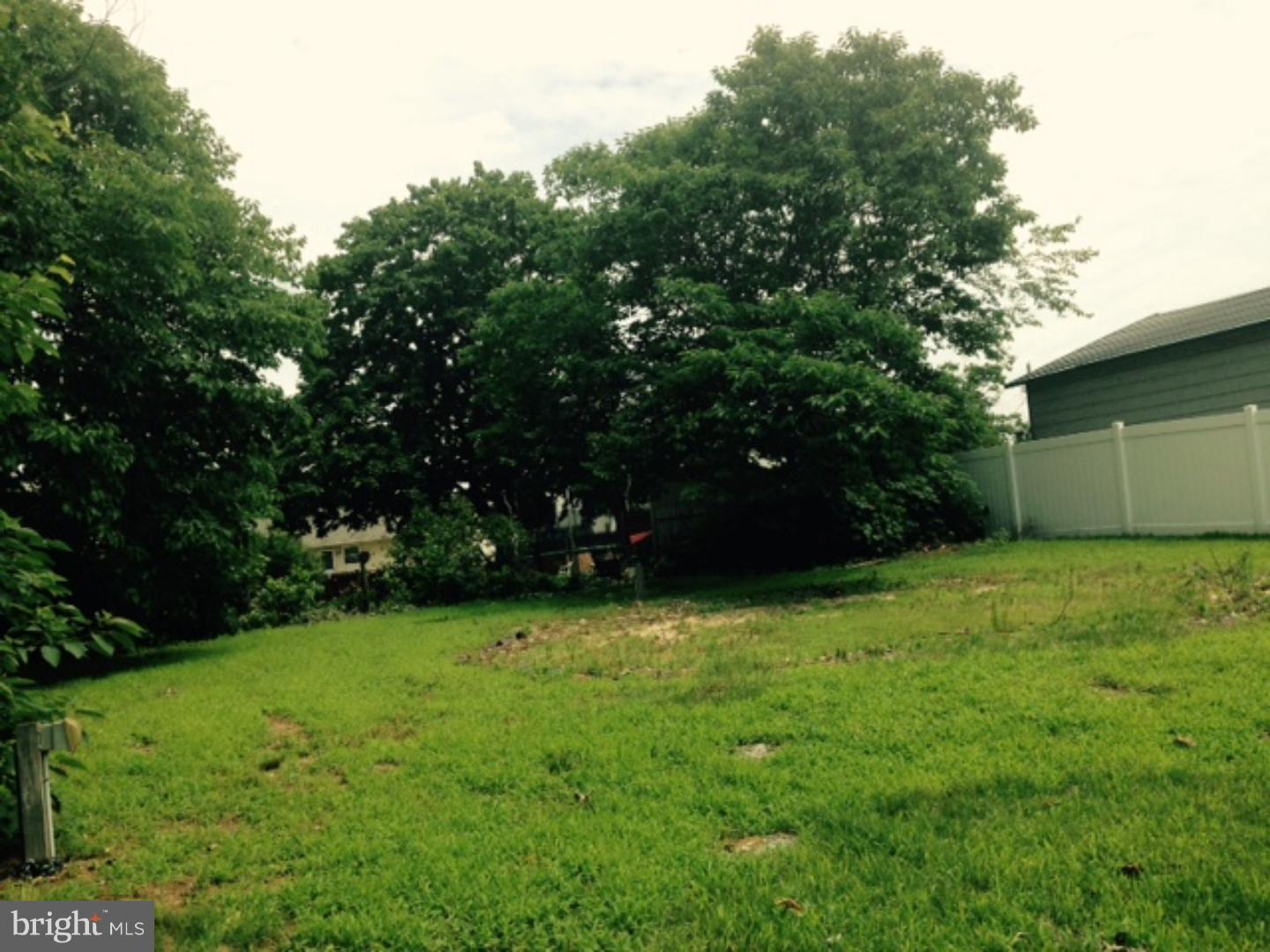 309 Rutgers Avenue Wenonah, NJ 08090 - Photo 22 of 23 Back Yard