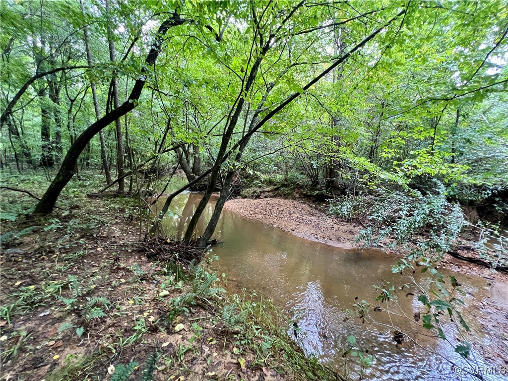 Lot 18 Owl Road Keysville, VA 23947 - Photo 4 of 10