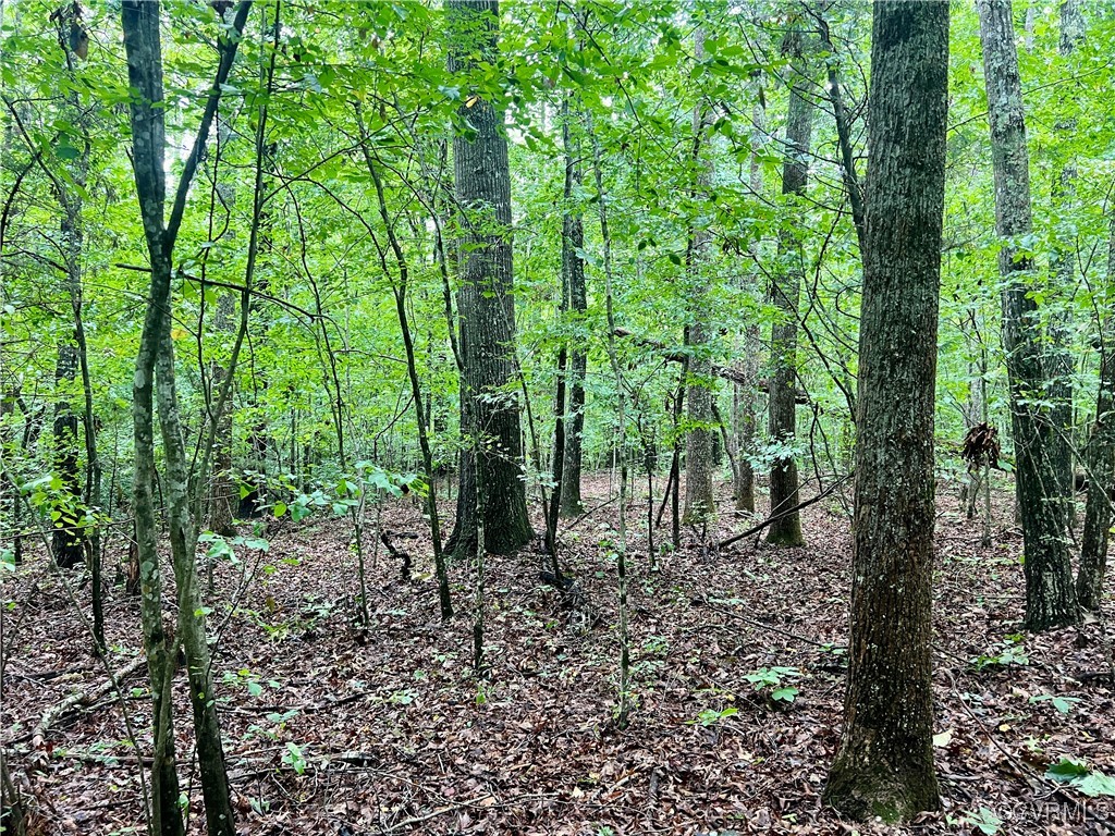 Lot 18 Owl Road Keysville, VA 23947 - Photo 8 of 10