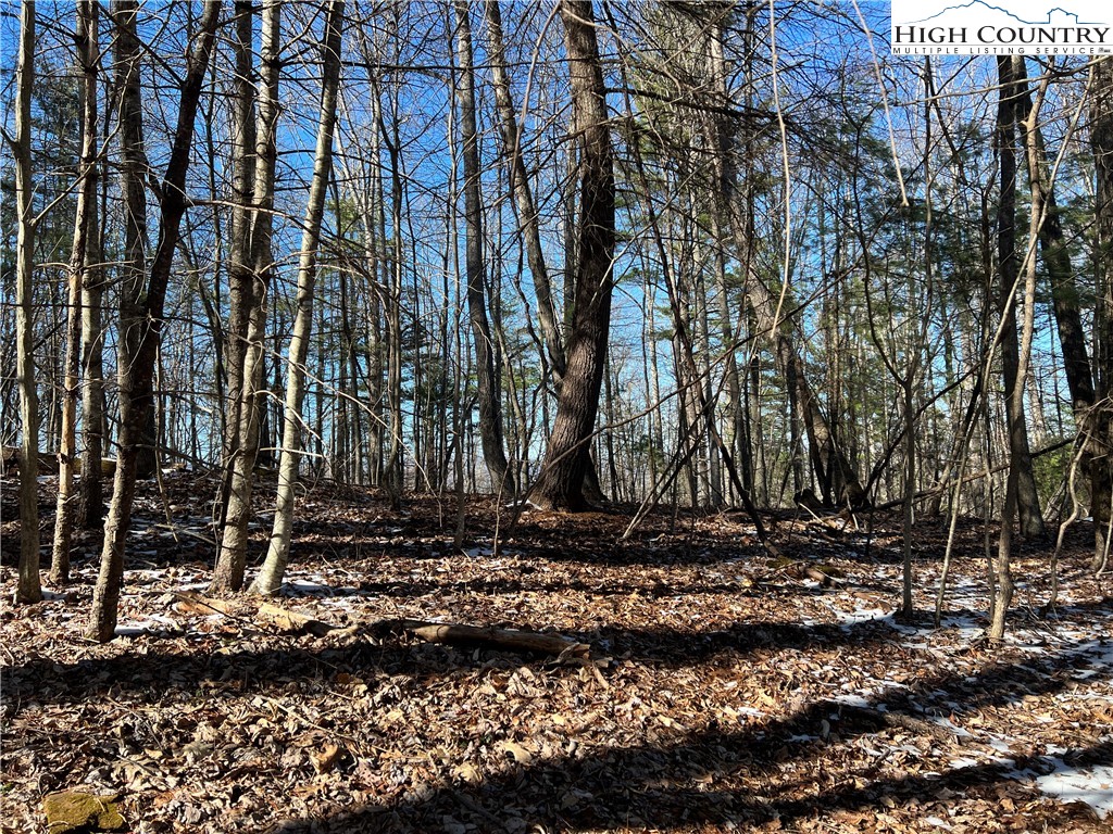 Flat Rock Road Lansing, NC 28643 - Photo 1 of 1 Gallery Image 1