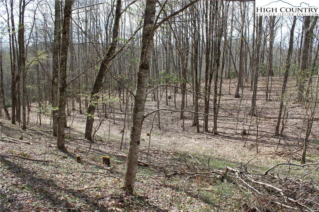 2030 Roaring Fork Road Creston, NC 28615 - Photo 14 of 24 a view of outdoor space with deck