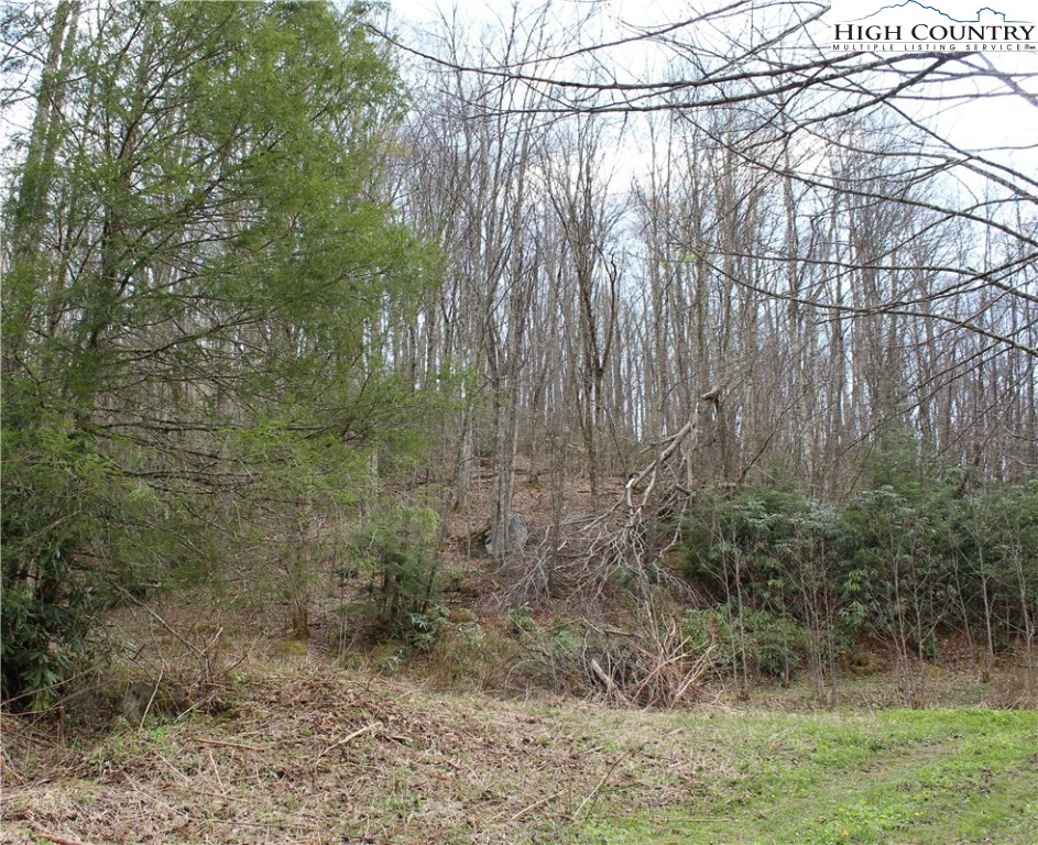 2030 Roaring Fork Road Creston, NC 28615 - Photo 2 of 24 a view of a yard