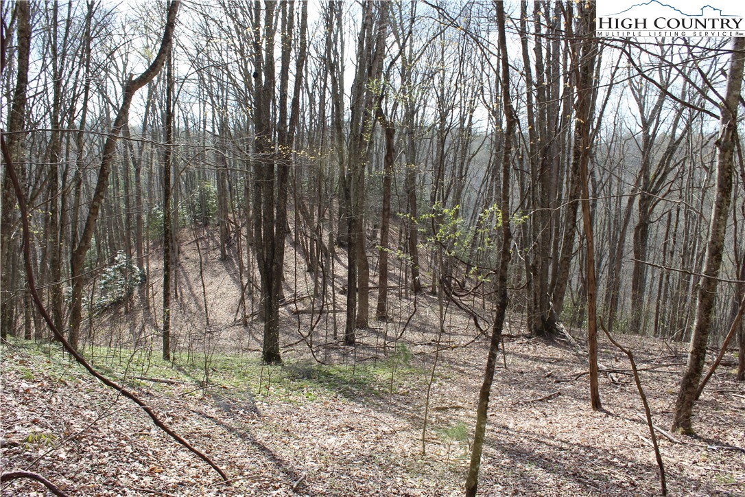 2030 Roaring Fork Road Creston, NC 28615 - Photo 23 of 24 a view of outdoor space with lots of trees