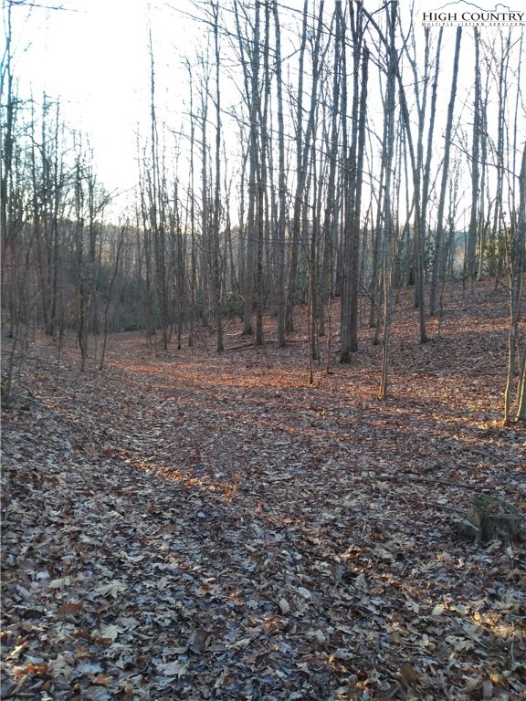 2030 Roaring Fork Road Creston, NC 28615 - Photo 3 of 24 a view of outdoor space with green space