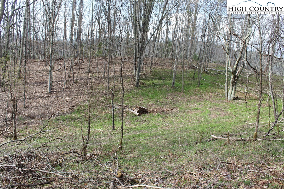 2030 Roaring Fork Road Creston, NC 28615 - Photo 5 of 24 a view of a backyard