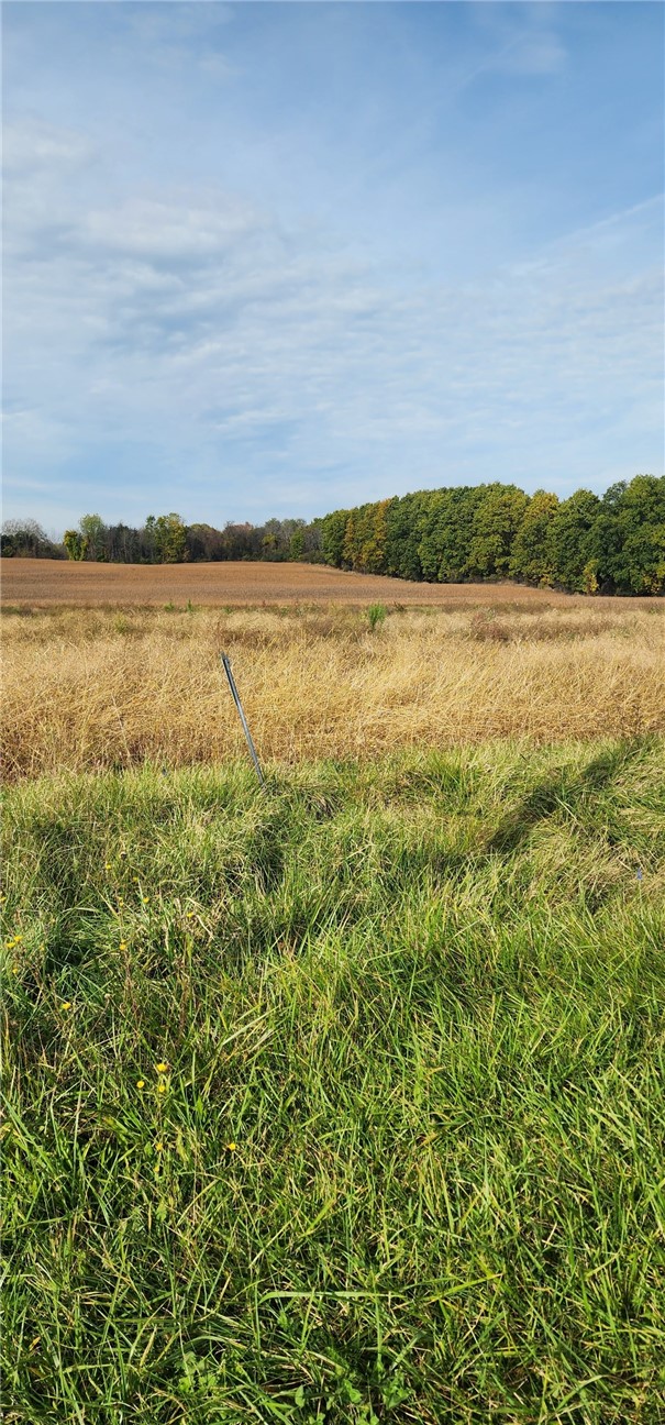 0 Short Road Newark, NY 14513 - Photo 1 of 1 Gallery Image 1