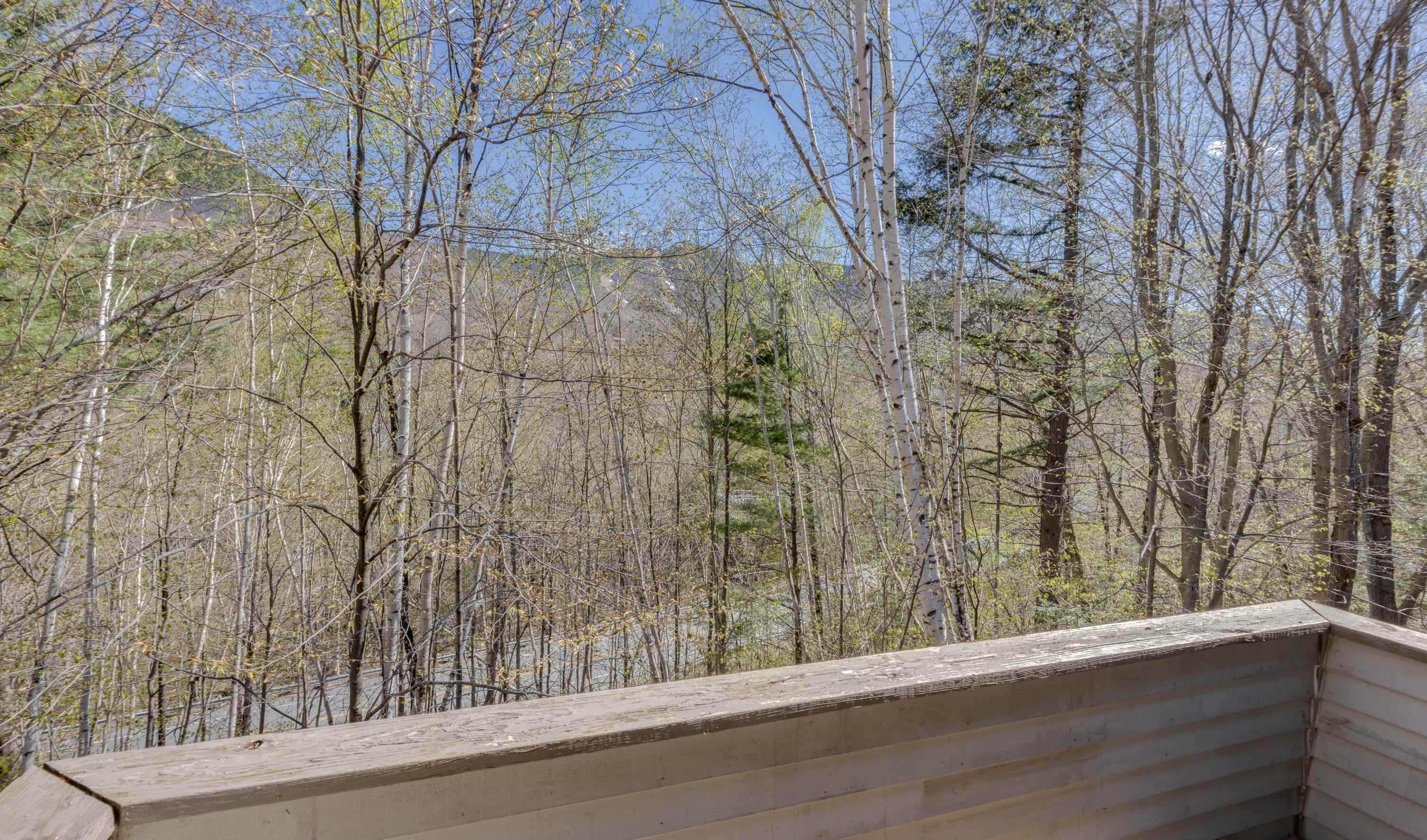 65-2 Clearbrook Road Lincoln, NH 03251 - Photo 8 of 35