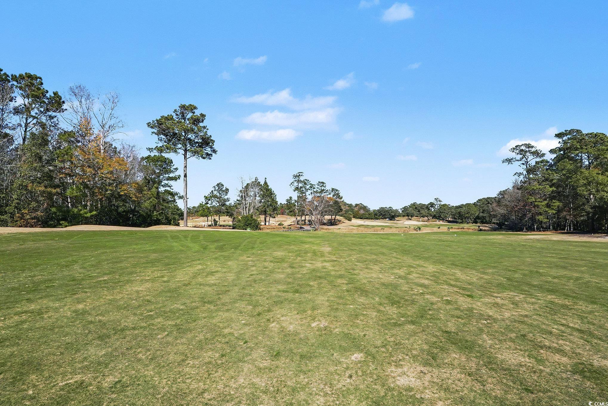 725 Blue Stem Drive, Unit 66B Pawleys Island, SC 29585 - Photo 26 of 30 View of grassy yard