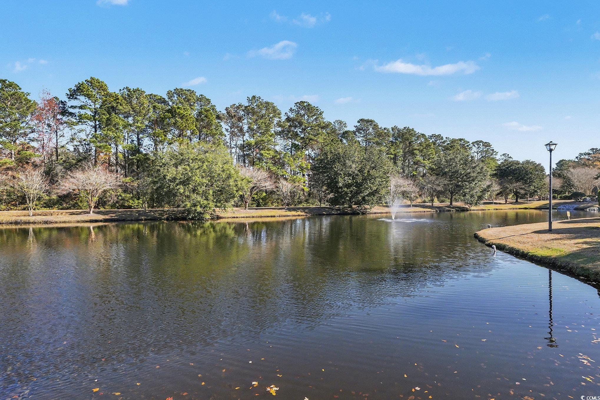 725 Blue Stem Drive, Unit 66B Pawleys Island, SC 29585 - Photo 29 of 30 Water view