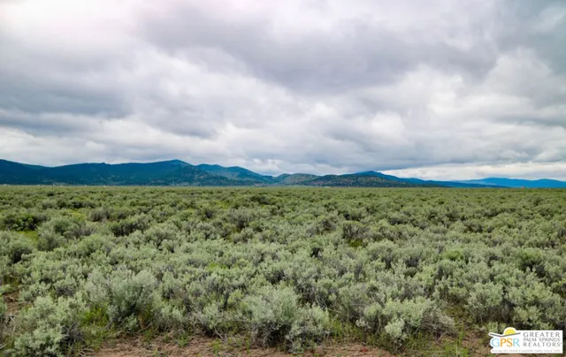 a view of a bunch of trees