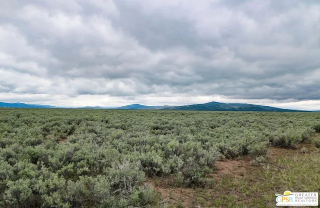 a view of a green field