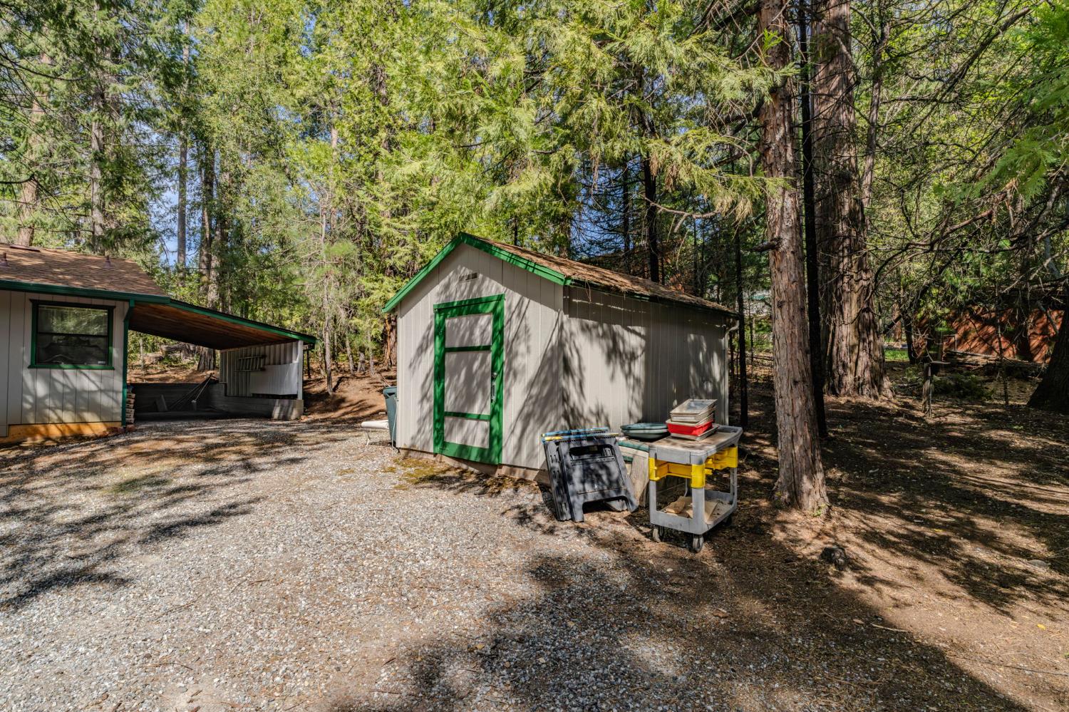 25010 Buckhorn Ridge Road Pioneer, CA 95666 - Photo 6 of 26