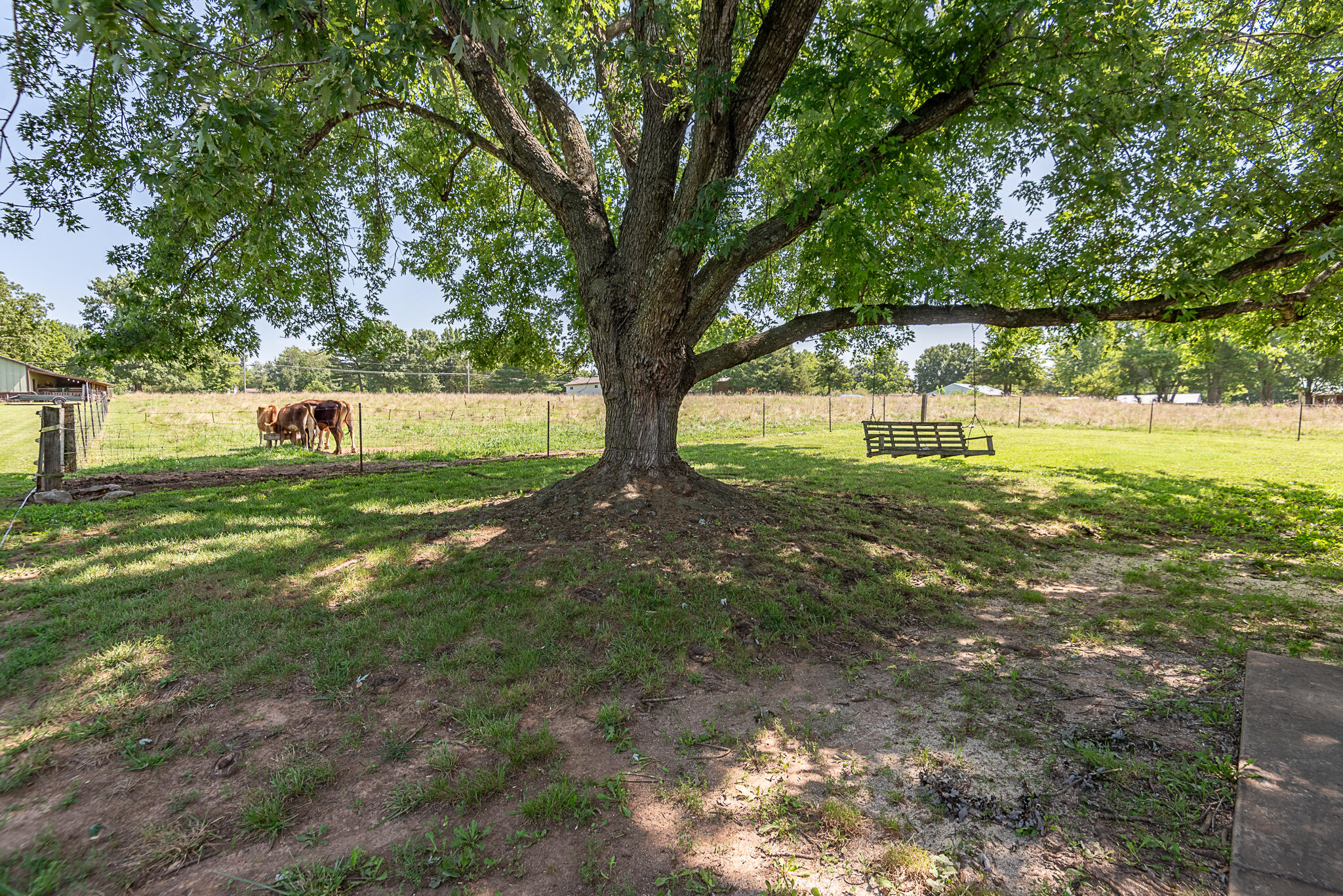 1905 East Webb Road Ozark, MO 65721 - Photo 12 of 81 webb-11