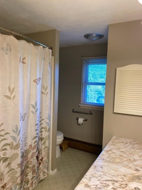 1788 Highway 6 Roulette, PA 16746 - Photo 15 of 31 Gallery Image 15