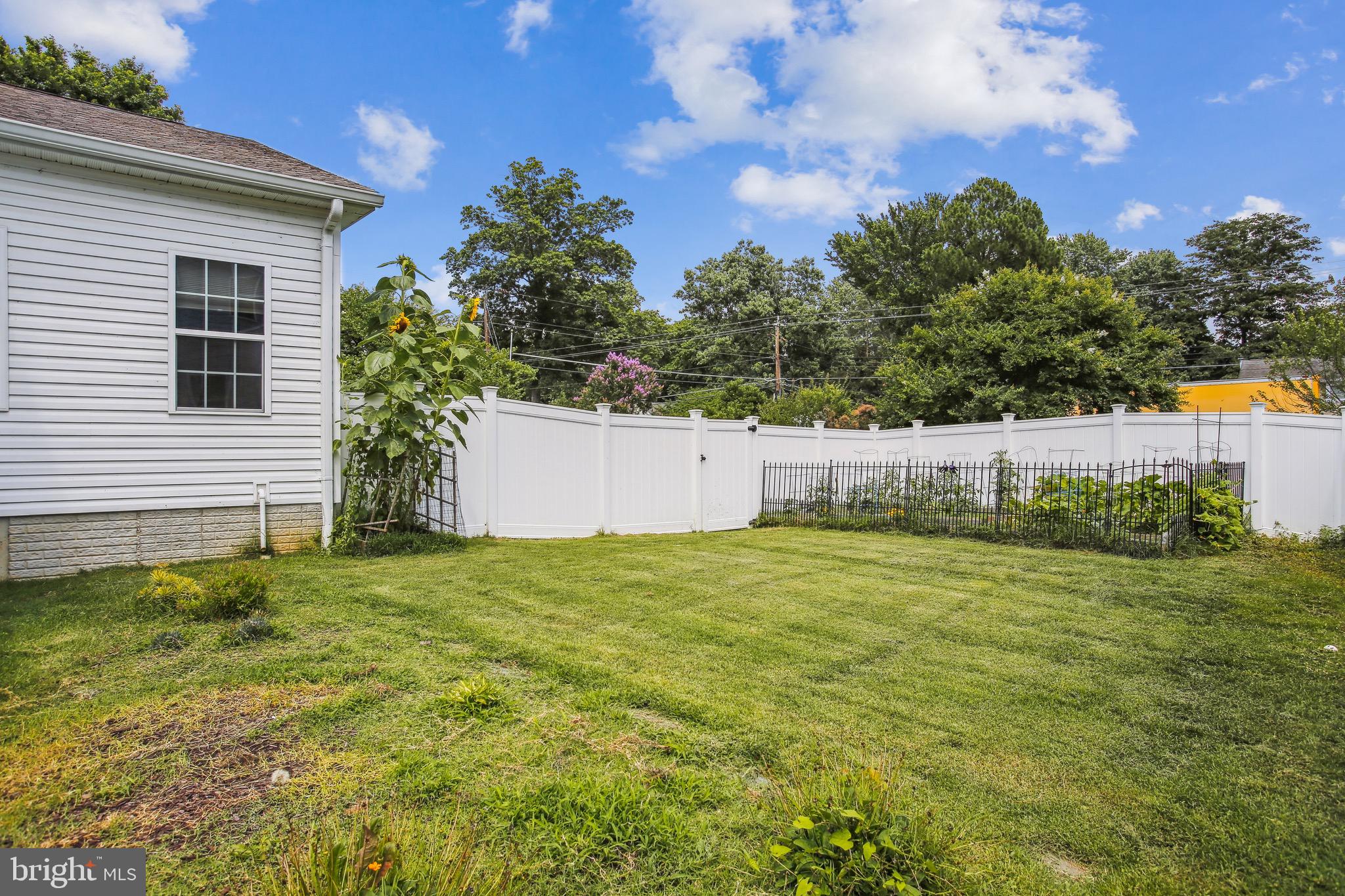 1201 Alden Road Alexandria, VA 22308 - Photo 5 of 47 Backyard