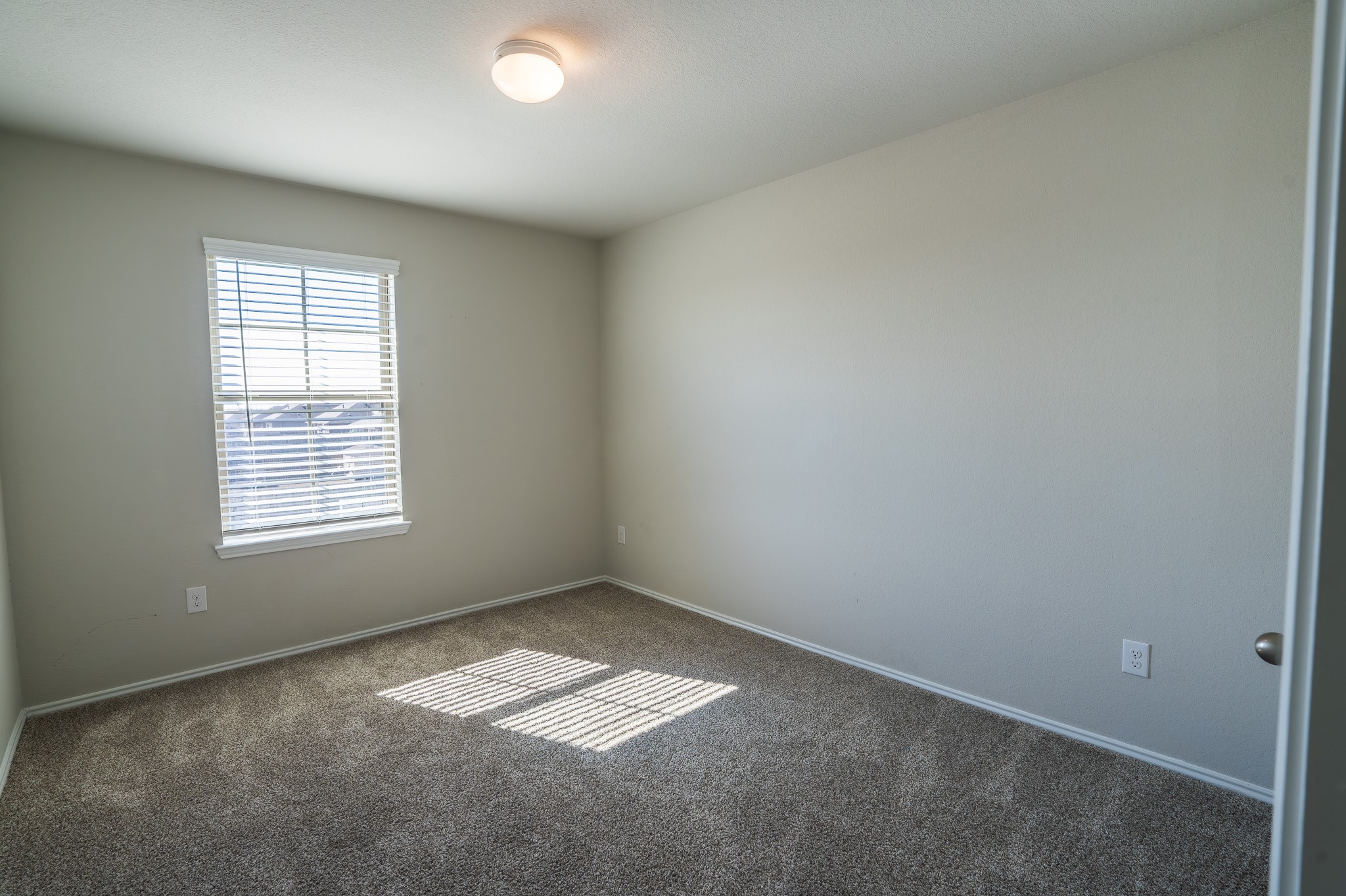 939 Petunia Falls Lane Rosharon, TX 77583 - Photo 21 of 25