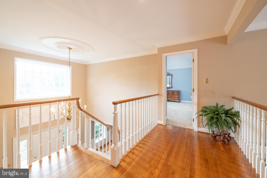 801 Avonwood Drive Wayne, PA 19087 - Photo 24 of 35