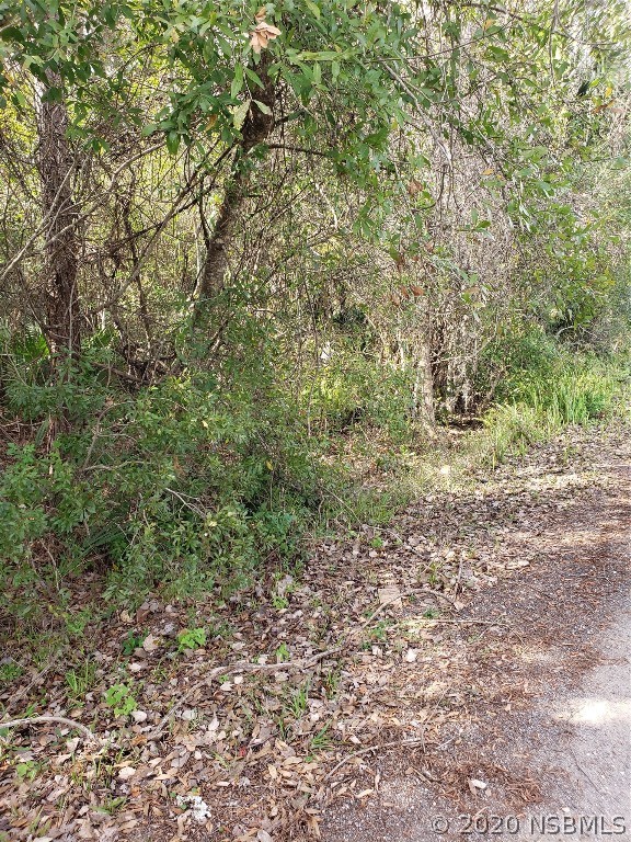 0 Pinedale Road Edgewater, FL 32132 - Photo 1 of 2 Gallery Image 1