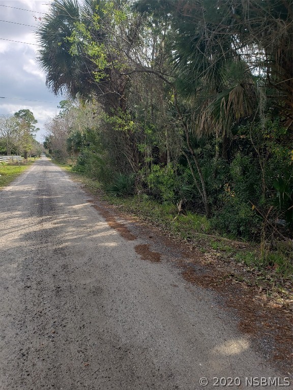 0 Pinedale Road Edgewater, FL 32132 - Photo 2 of 2 Gallery Image 2