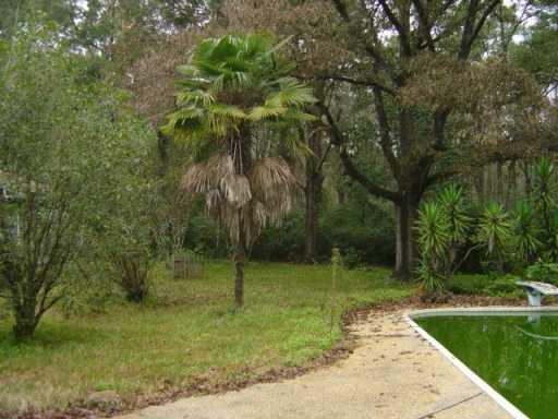 78498 Church Road Folsom, LA 70437 - Photo 8 of 8