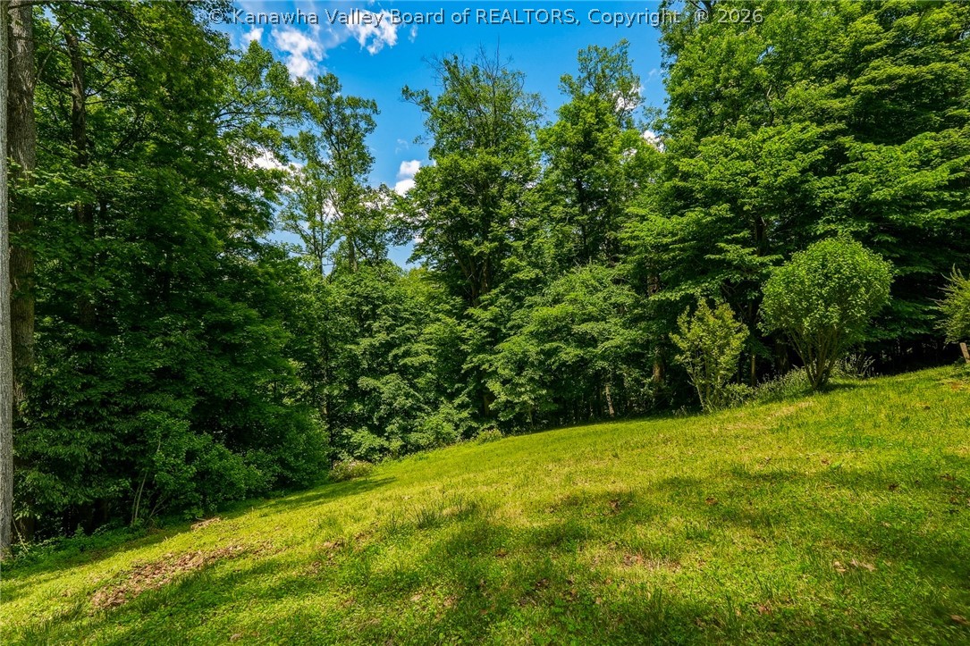 52 Timberlane Road Milton, WV 25541 - Photo 40 of 48 Gallery Image 40