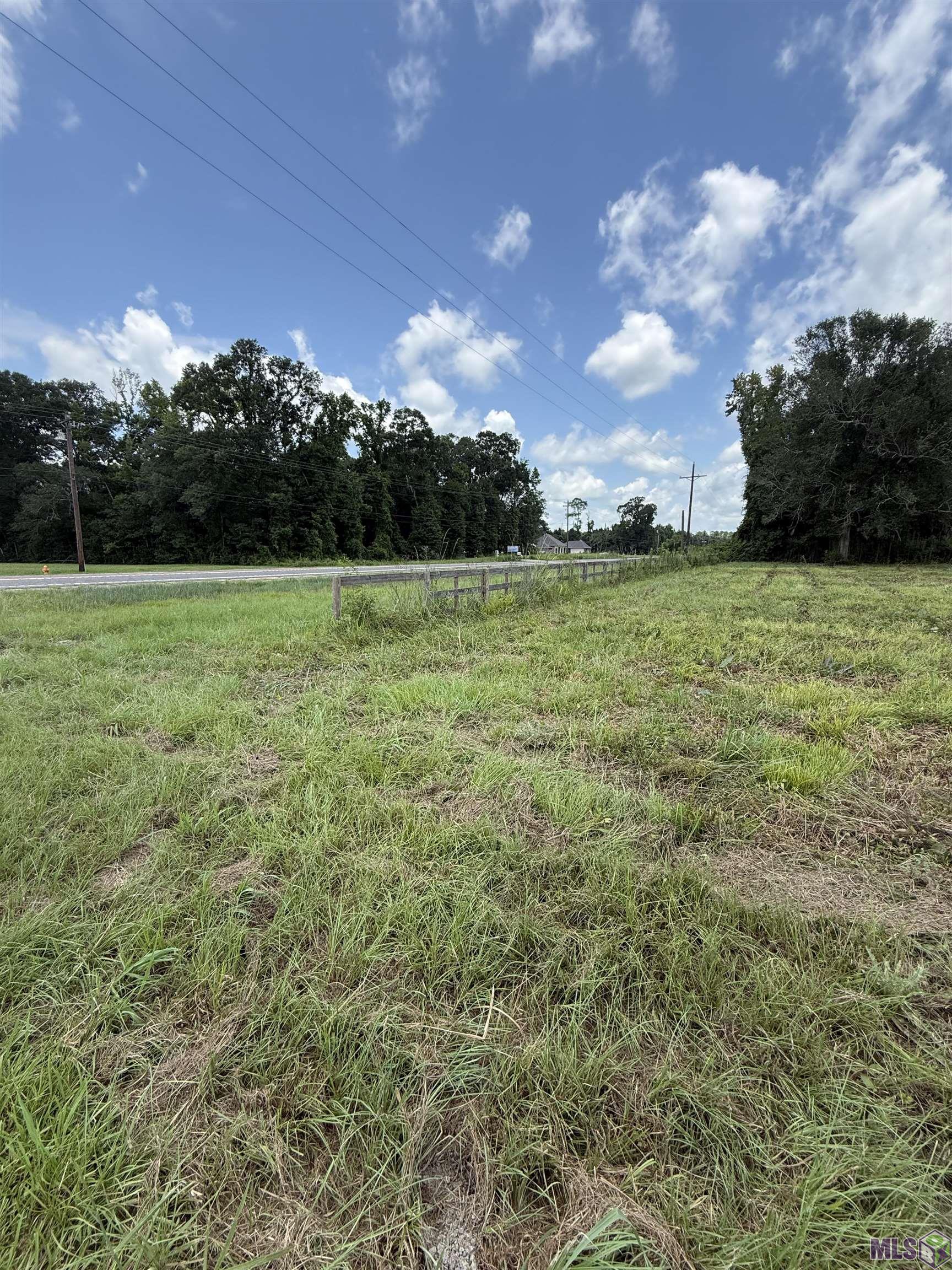 22390 Plank Road Zachary, LA 70791 - Photo 4 of 8