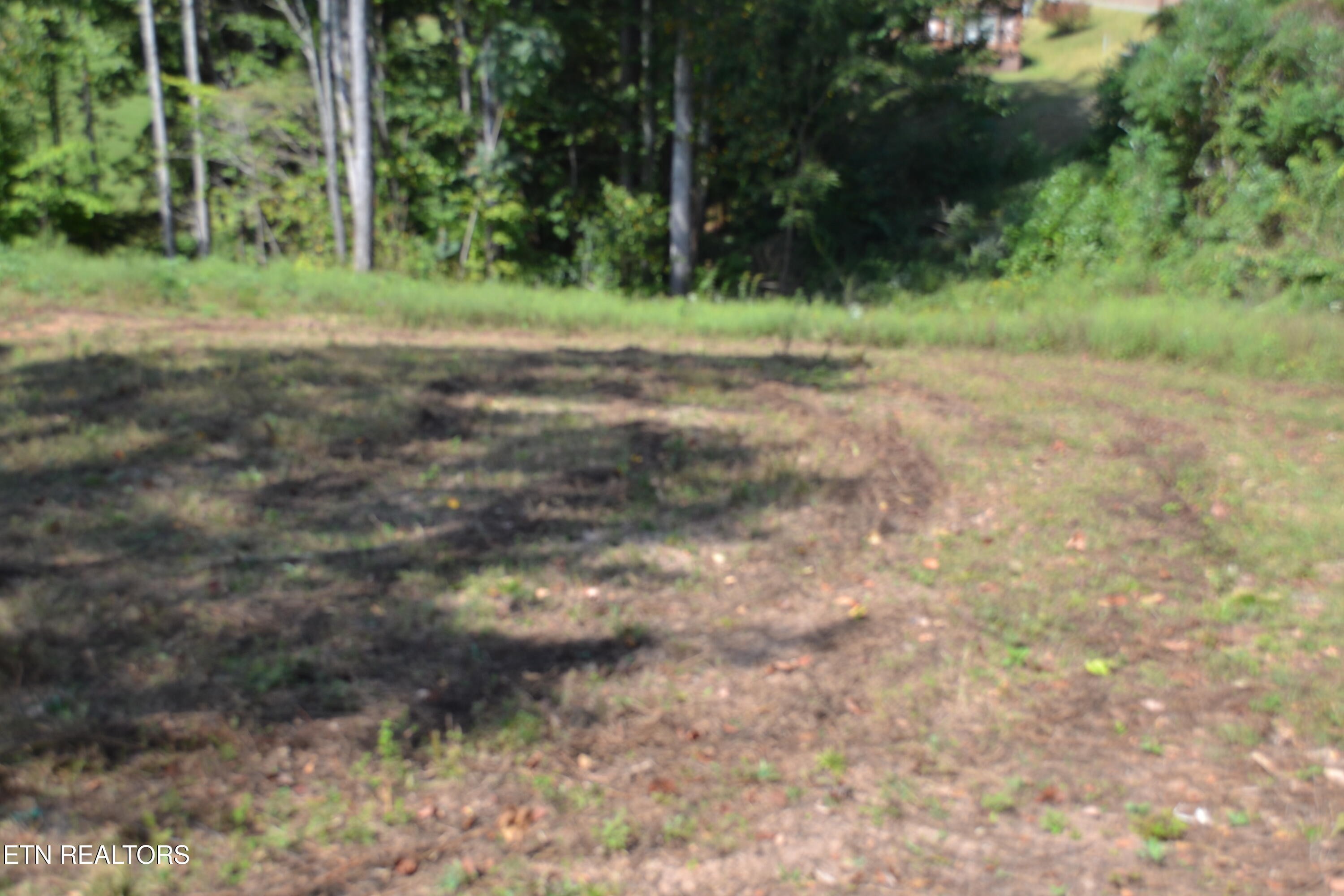 2376 Pea Ridge Fire Tower Road Celina, TN 38551 - Photo 6 of 23 DSC_0009