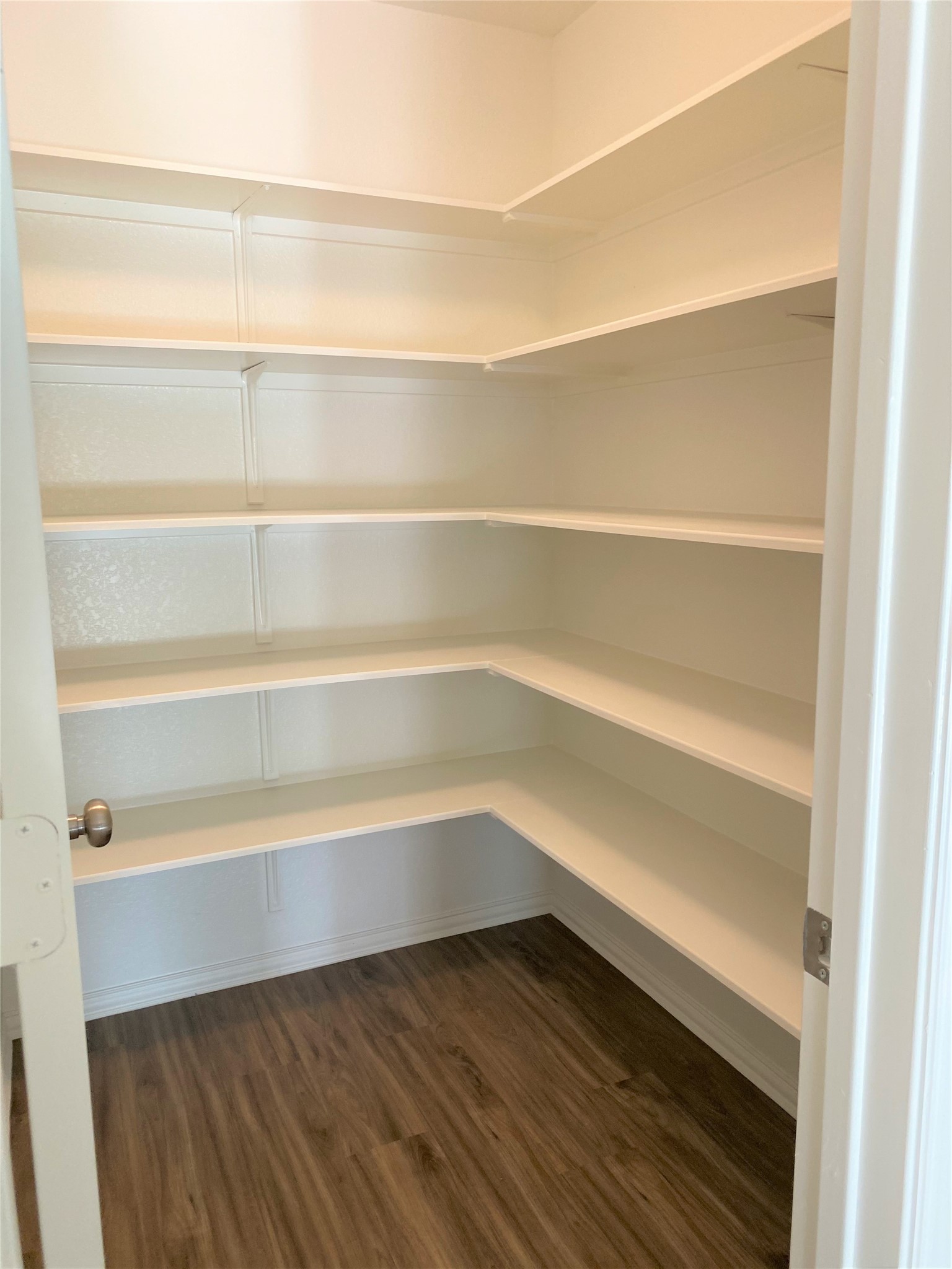 1309 Terrace View Georgetown, TX 78628 - Photo 12 of 36 Ample shelving in this walk-in pantry provides exceptional storage solutions.