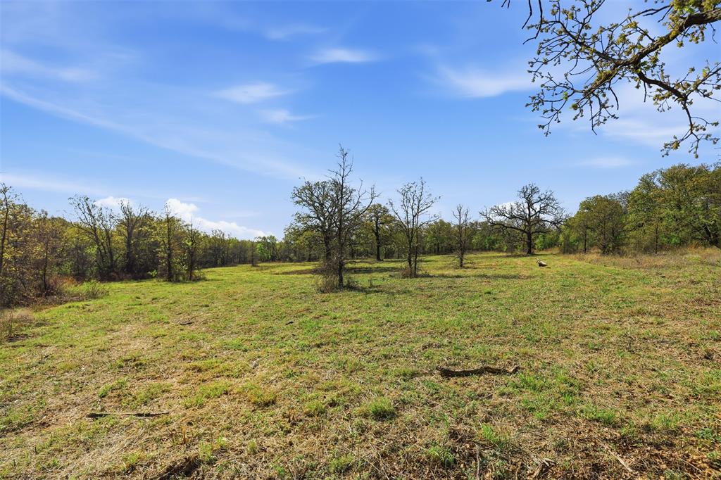 2010 Mustang Ridge Perrin, TX 76486 - Photo 11 of 22