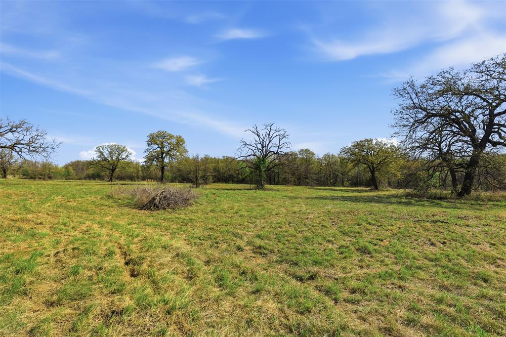 2010 Mustang Ridge Perrin, TX 76486 - Photo 9 of 22