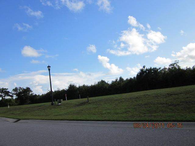 Lot 153 Tarpoon Pond Road North Myrtle Beach, SC 29582 - Photo 1 of 1 Gallery Image 1