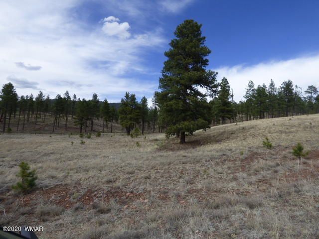 Lot 32 The Ranch Alpine, AZ 85920 - Photo 1 of 23