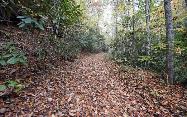 $99,000 | Tbd McLean Road, Andrews, NC 28901
