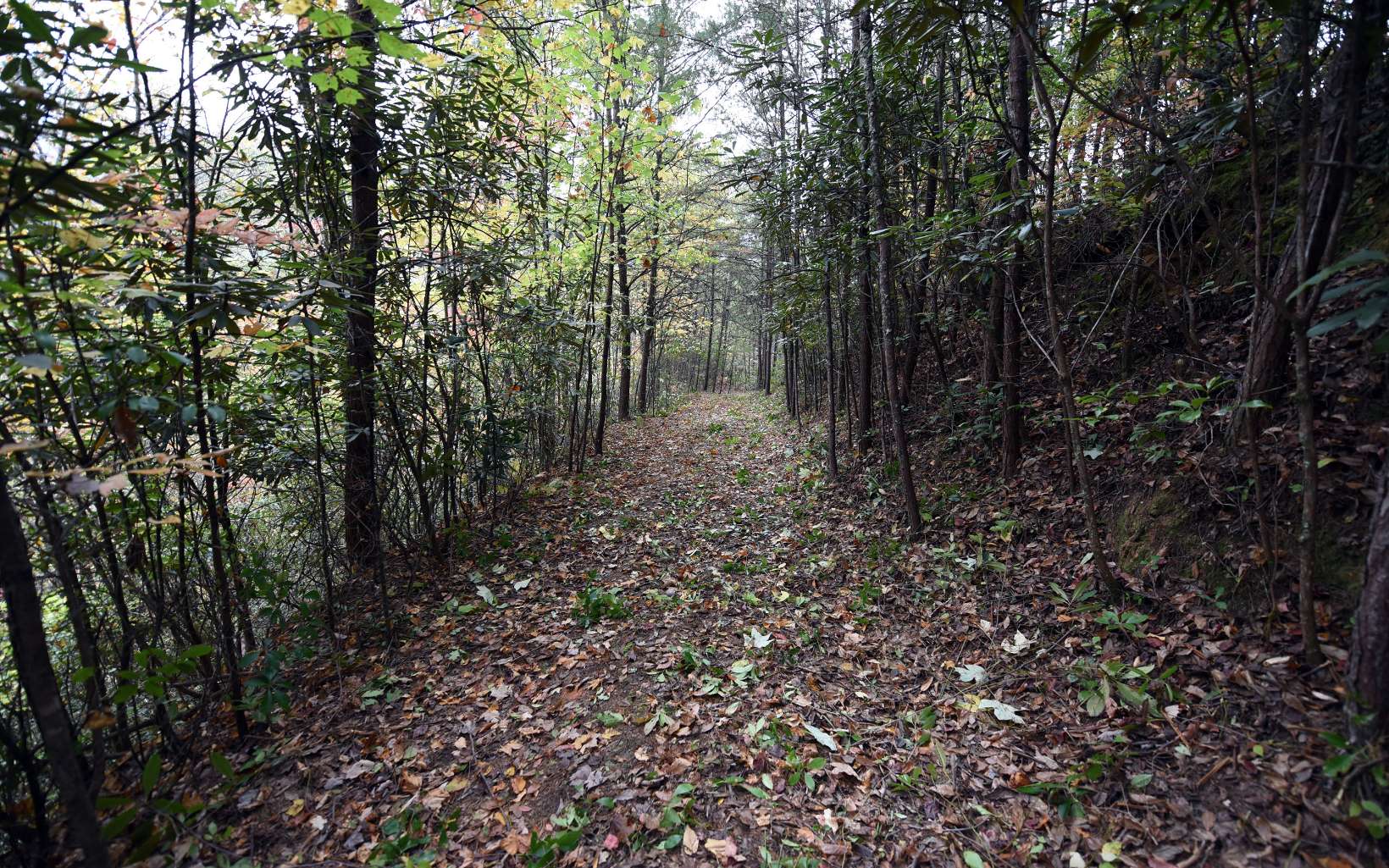 Tbd McLean Road Andrews, NC 28901 - Photo 2 of 4 Additional View