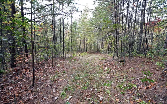 $99,000 | Tbd McLean Road, Andrews, NC 28901