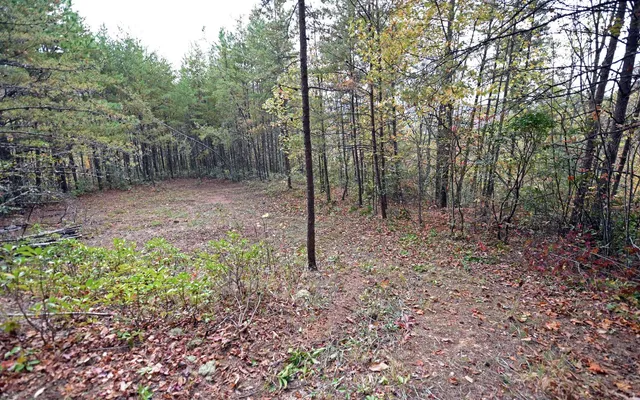 $99,000 | Tbd McLean Road, Andrews, NC 28901