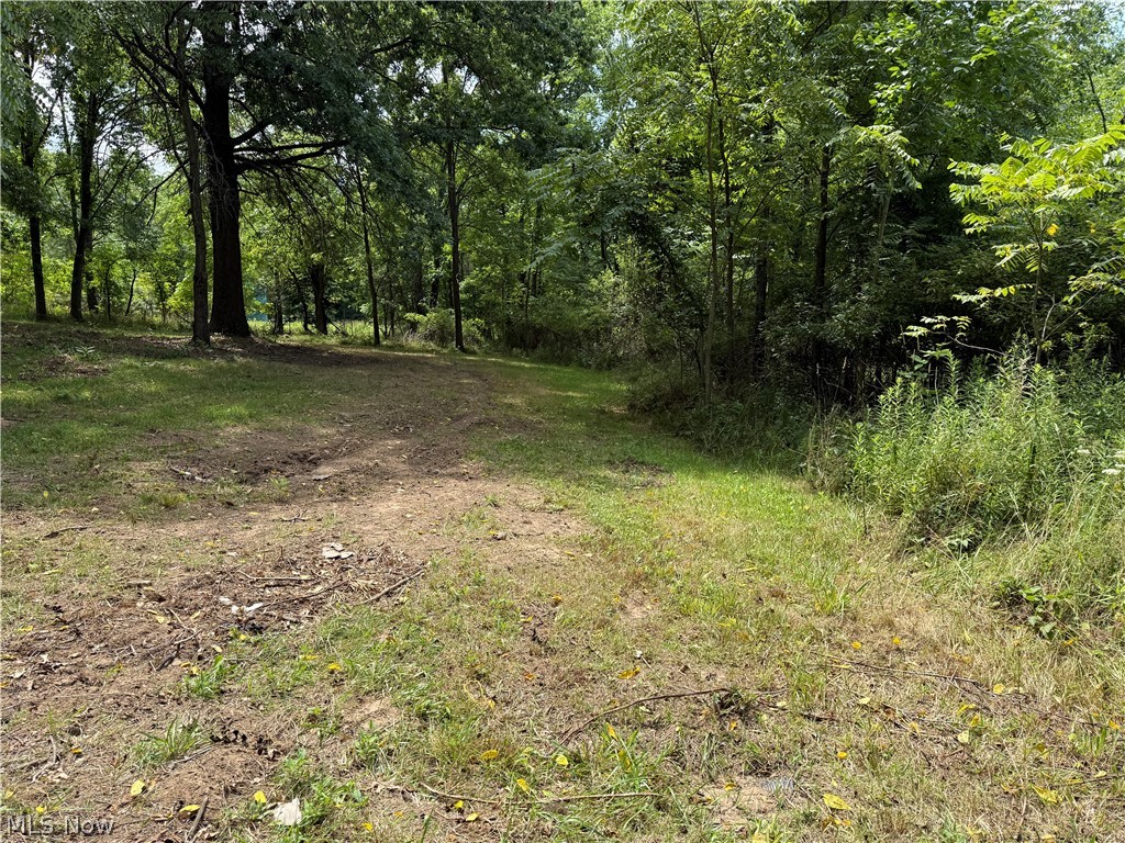 6960 Grove Road Clinton, OH 44216 - Photo 17 of 25 Some open space
