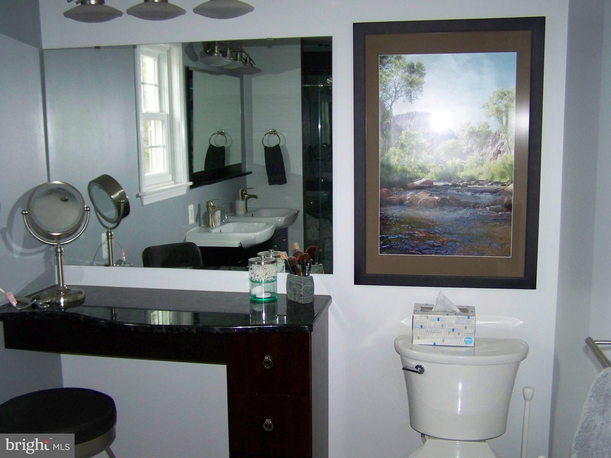2416 Engle Road Fallston, MD 21047 - Photo 48 of 82 Master Bath Makeup Counter